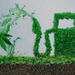 Marijuana as Fuel: History, Science, and the Controversy Behind Cannabis Energy