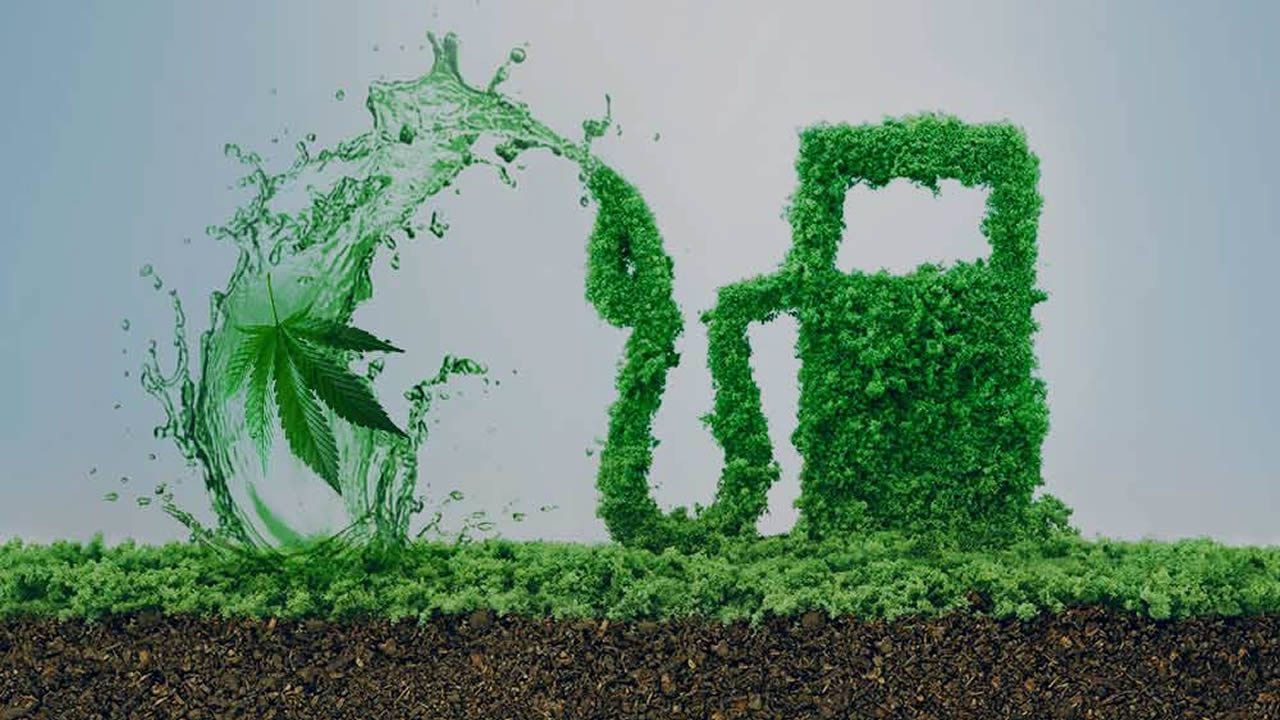 Marijuana as Fuel: History, Science, and the Controversy Behind Cannabis Energy